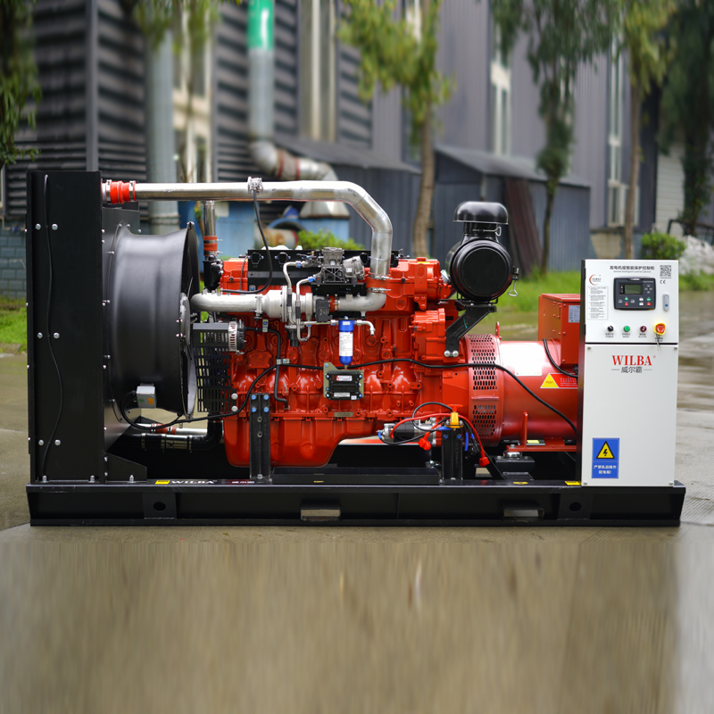 玉柴燃气300KW.JPG
